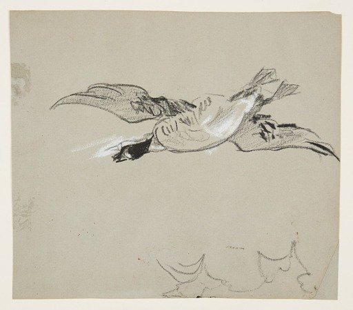 Wild Goose in Flight