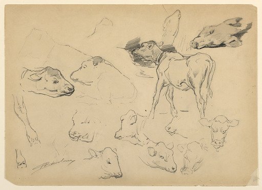 Studies of Cattle, Heads of Sheep and a Hog
