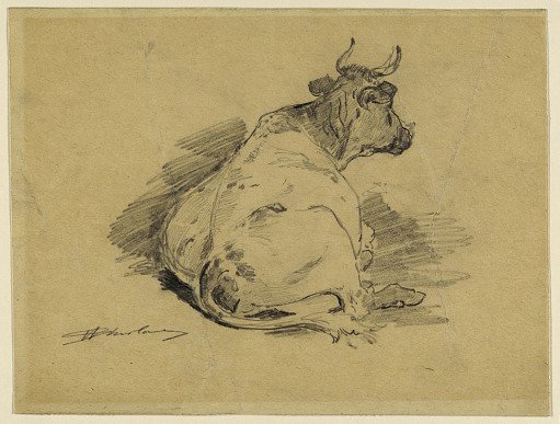 Study of a Lying Cow