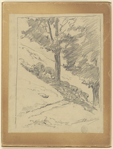 Sheep on a Hillside