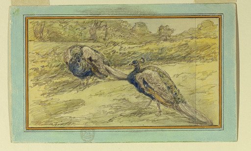 Two Peacocks in a Landscape