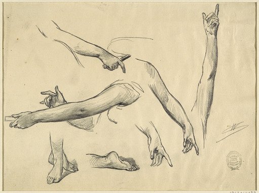 Studies of a Woman's Limbs