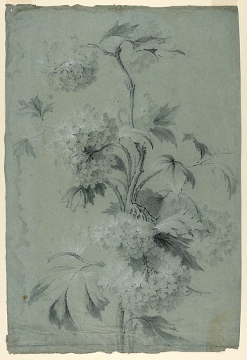 Floral Design