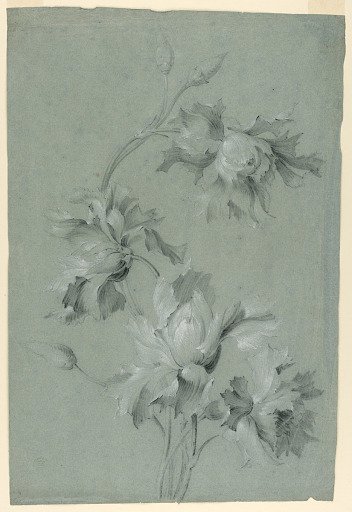 Floral Design