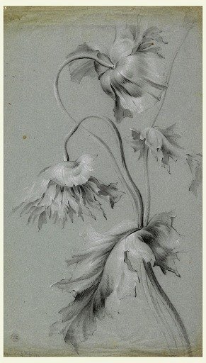 Floral Design