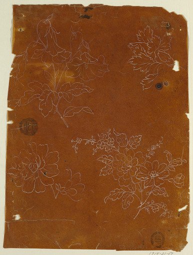 Tracings of Four Flower Boughs for Embroidery