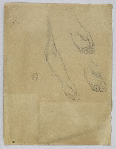 Three Studies of a Left Hand