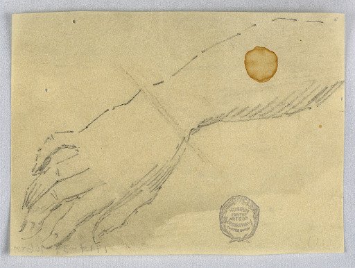 Sketch of Hand and Wrist