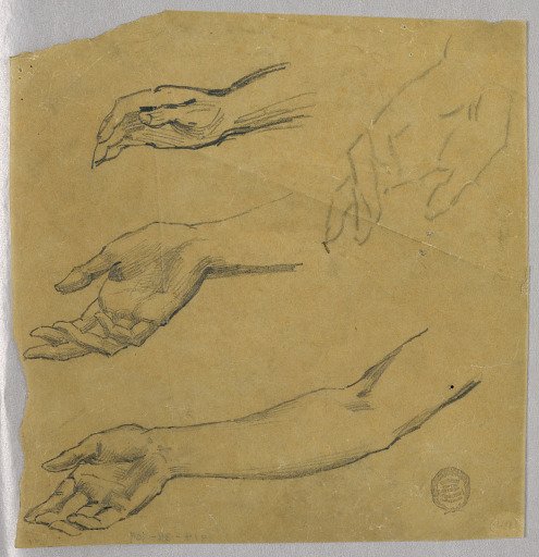 Three Studies of a Hand and Arm