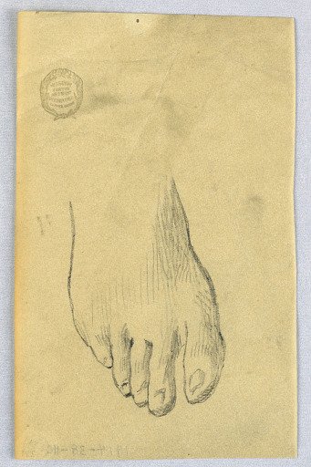 Study of Right Foot