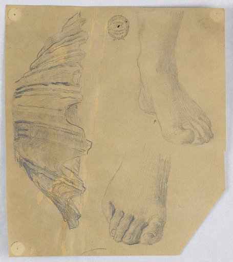 Studies of Feet, and a Fluted Shell