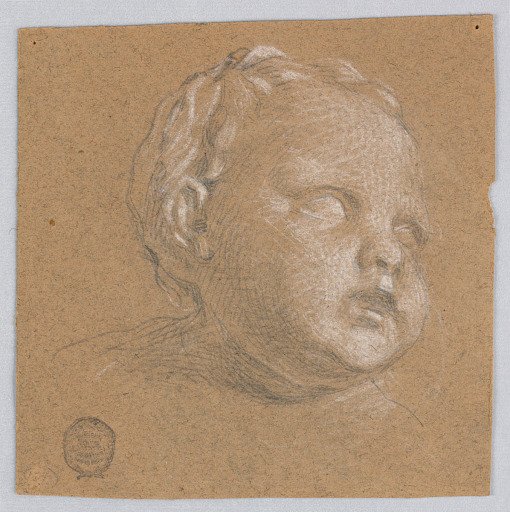 Study of Child's Head