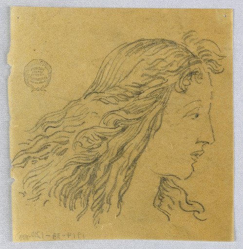 Sketch of Woman's Head in Profile
