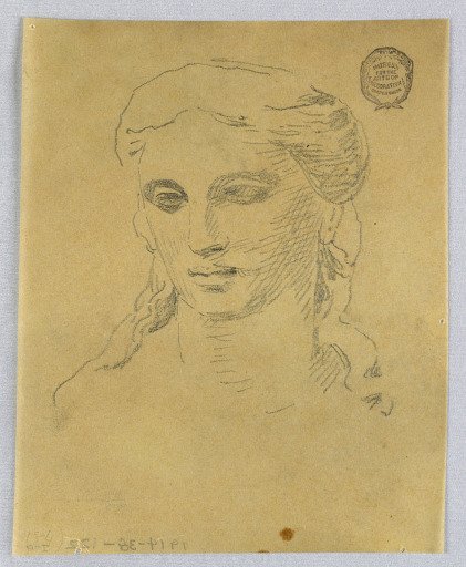 Sketch of Woman's Head