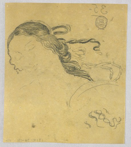 Study of Woman's Hair