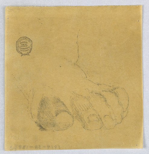 Sketch of Toes