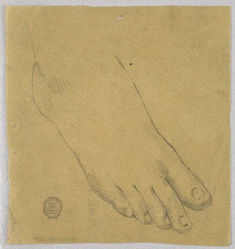 Study of a Right Foot