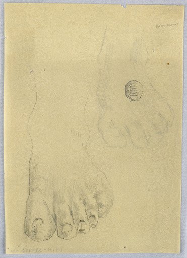 Study of a Left Foot