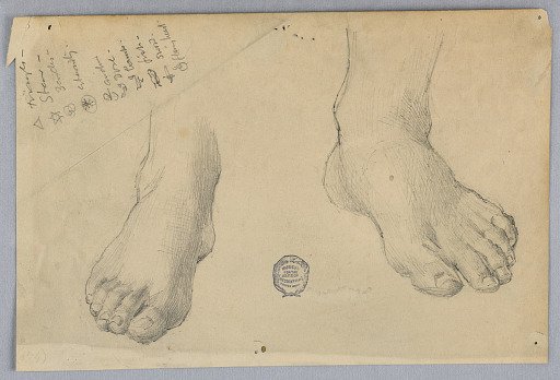 Study of Feet