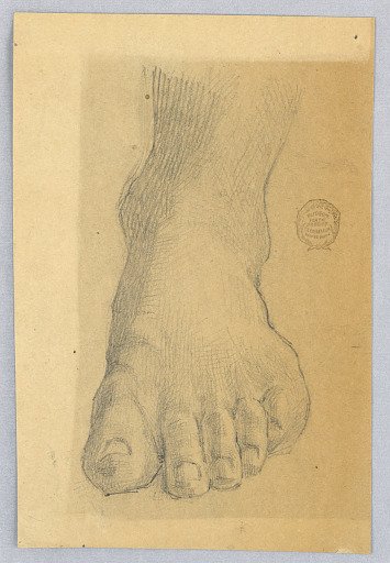 Study of Left Foot