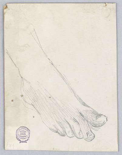 Study of Right Foot