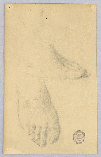 Study of Feet