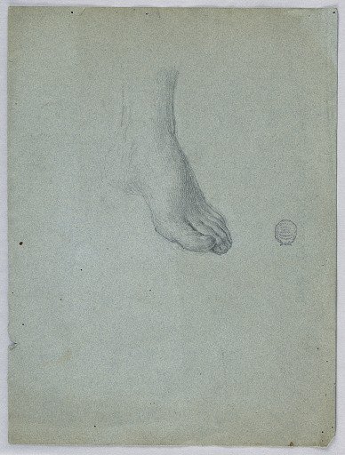 Study of Left Foot