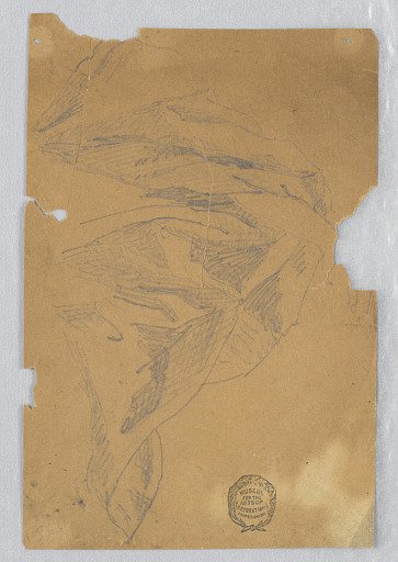 Drapery Study