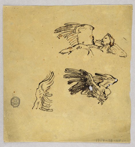 Studies of Wings