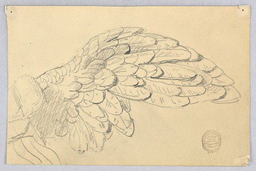 Study of a Wing