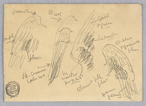 Sketches of Wings