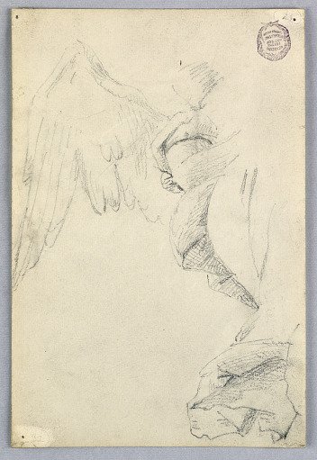 Sketch with Wings and Drapery