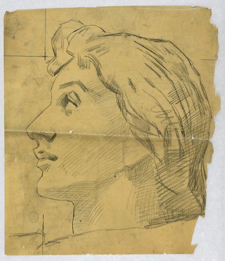 Sketch of a Woman's Head