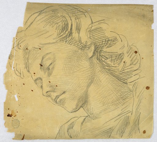 Sketch of a Woman's Head