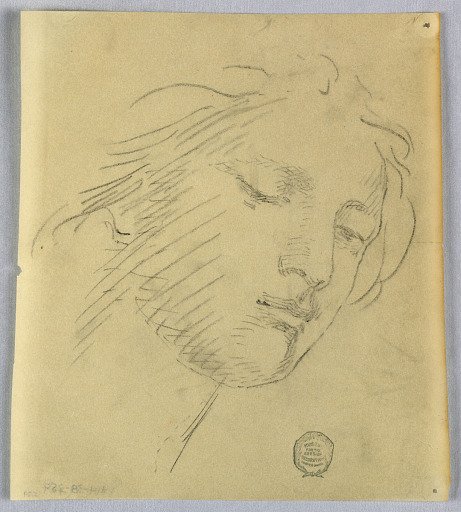 Sketch of a Woman's Face