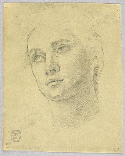 Sketch of a Woman's Head