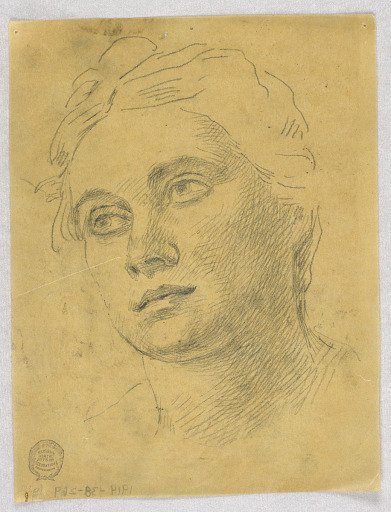Head of a Woman