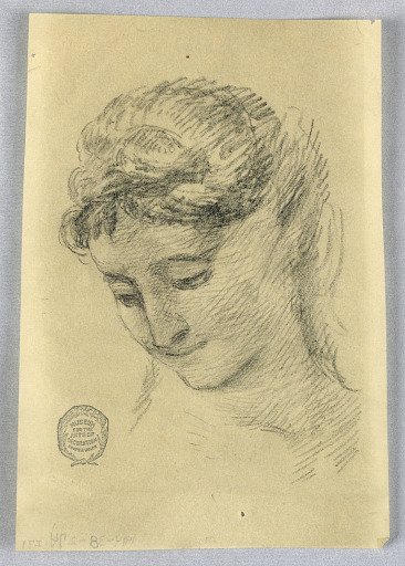 Sketch of a Woman's Head