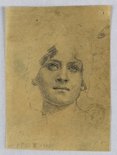 Sketch of a Woman's Face