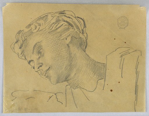Sketch of a Woman's Head