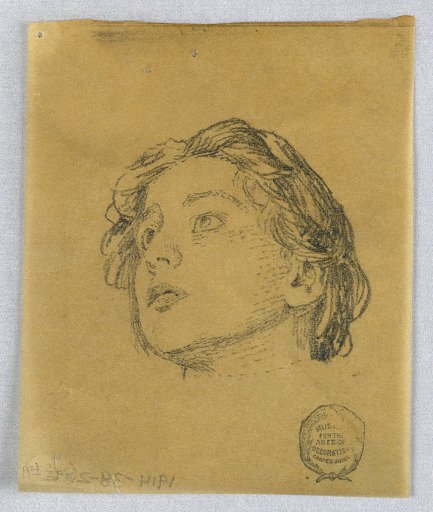 Sketch of a Woman's Head