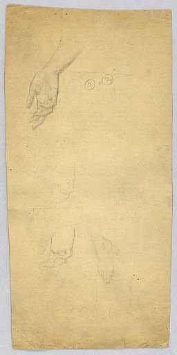 Studies of Hands and a Foot