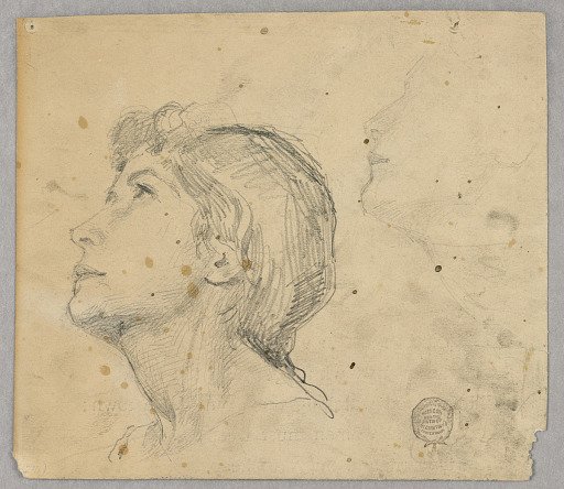 Sketch of a Woman's Head