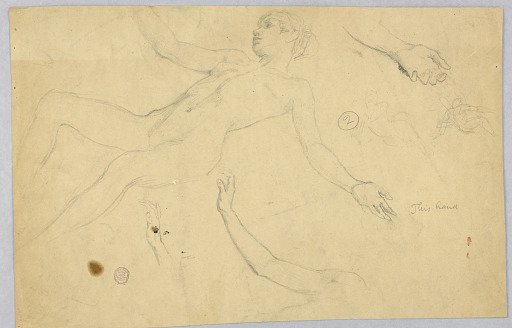 Sketches of Female Nude and Hands