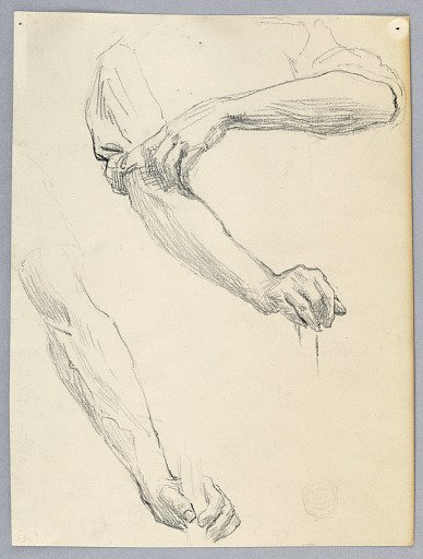 Studies of Arms