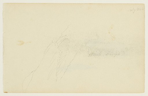 Decayed Birch, Catskill, New York