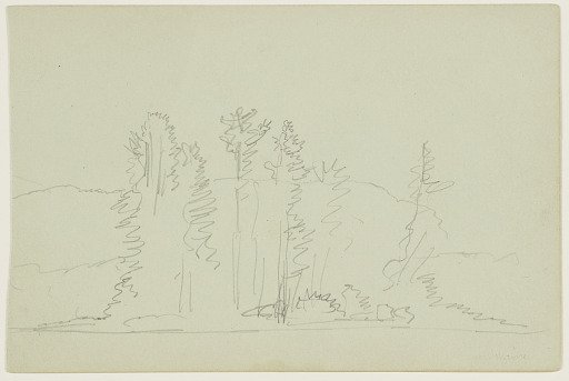 Wooded Lakeshore