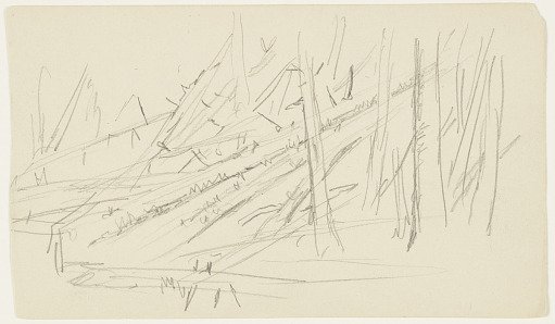 Fallen Trees, Maine