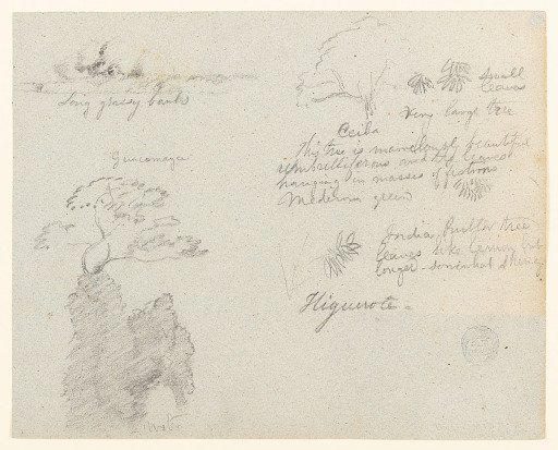 Sketches along the Río Magdalena, Colombia