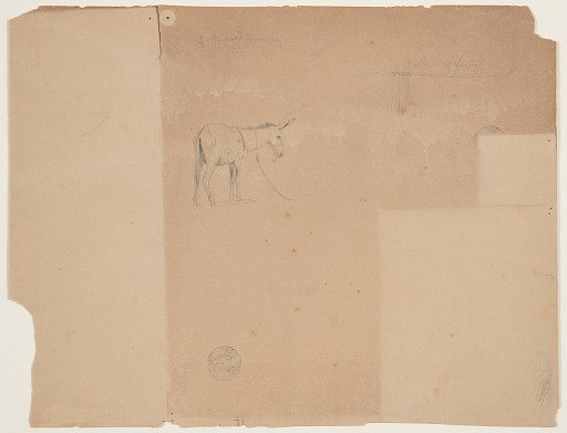 Tethered Donkey and a Style of Fence, South America